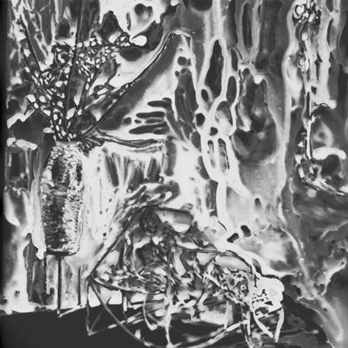 Demons- Evocation (CD)-Track Cache