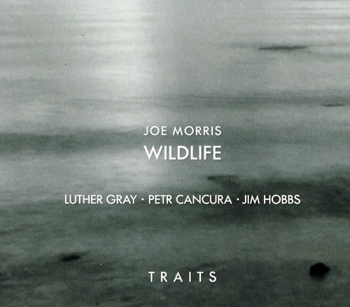 Joe Morris /Wildlife- Traits (CD)-Track Cache