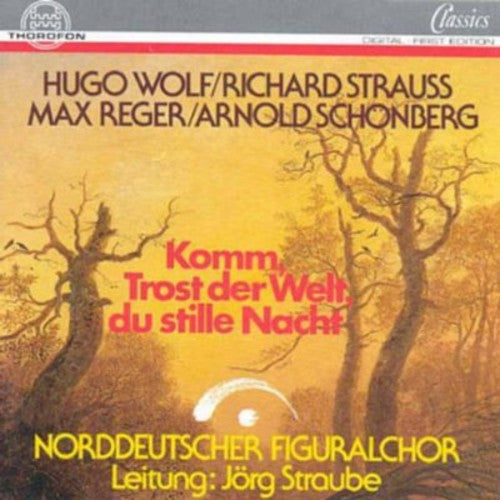 Norddeutscher Figuralchor- Come Consolation of the World (CD)-Track Cache