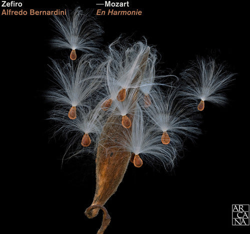 Alfredo Bernardini- En Harmonie (CD)-Track Cache