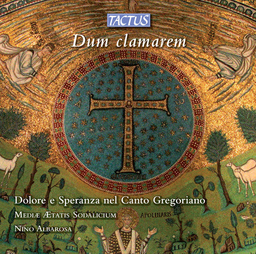 Nino Albarosa- Sorrow & Hope in Gregorian Chant / Various (CD)-Track Cache