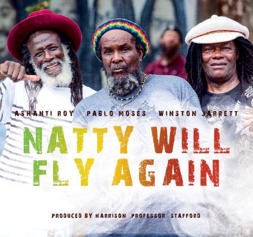 Natty Will Fly Again / Various- Natty Will Fly Again / Various (CD)-Track Cache