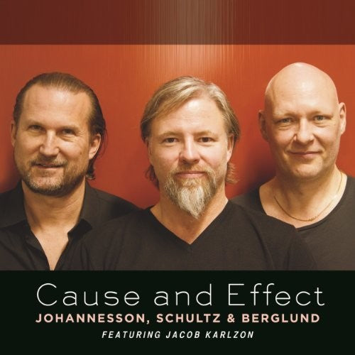 Johannesson, Schultz- Cause & Effect (CD)-Track Cache