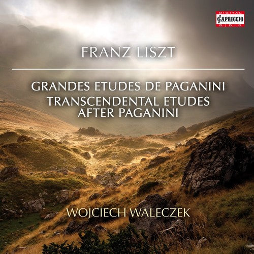 Wojciech Waleczek- Transcendental Etudes After Paganini (CD)-Track Cache