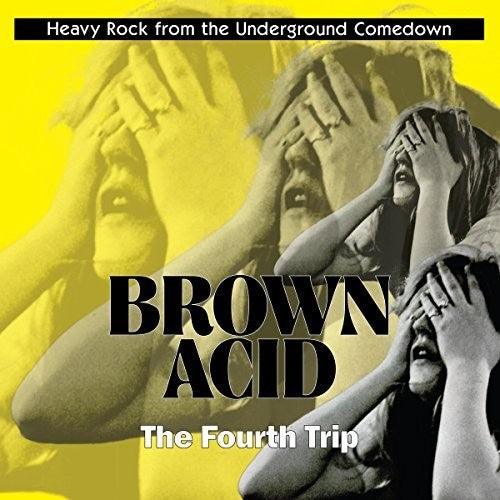 Various Artists- Brown Acid: Fourth Trip (Various Artists) (Vinyl)-Track Cache