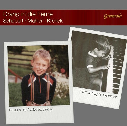 Beethoven / Irnberger / Judd- Violin Concerto / Triple Concerto / Romances (CD)-Track Cache