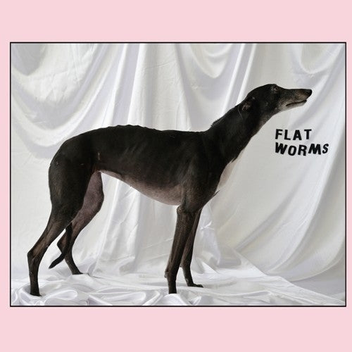 Flat Worms- Flat Worms (Vinyl)-Track Cache