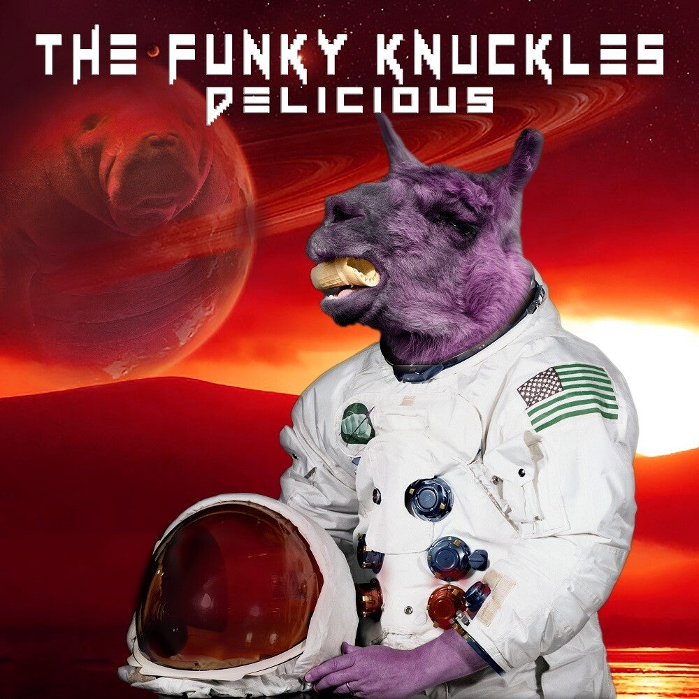 Funky Knuckles- Delicious (CD)-Track Cache