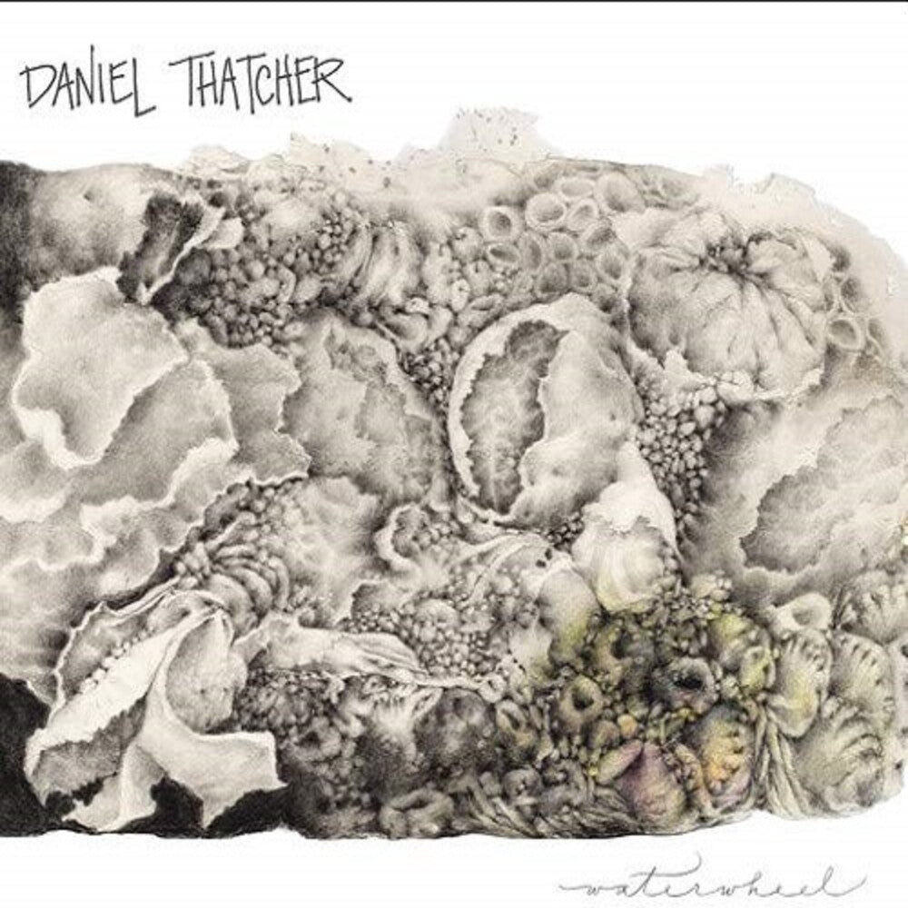 Daniel Thatcher- Waterwheel (CD)-Track Cache