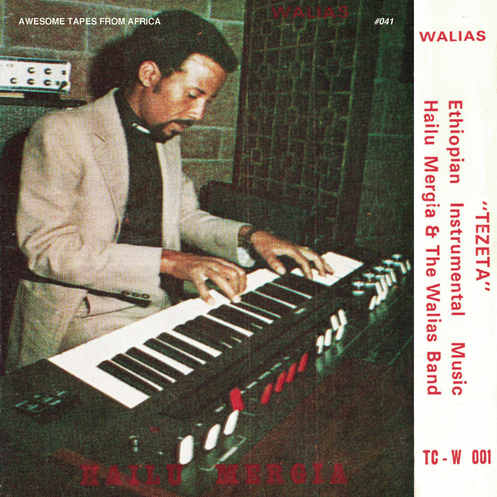 Hailu Mergia & The Walias- Tezeta (CD)-Track Cache