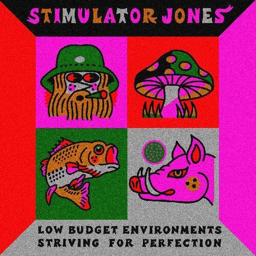 Stimulator Jones- Low Budget Environments Striving For Perfection (Vinyl)-Track Cache