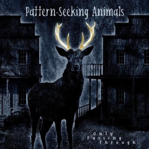 Pattern-Seeking Animals- Only Passing Through (Vinyl)-Track Cache