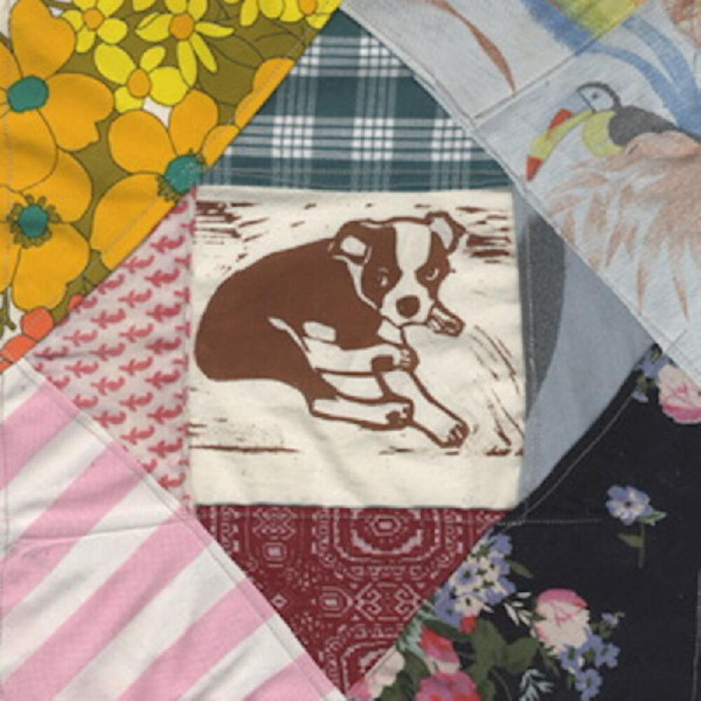 Mapache- Roscoe's Dream [LP] (Vinyl)-Track Cache
