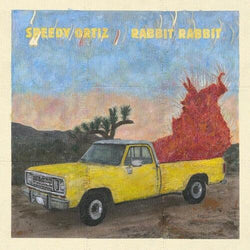 Speedy Ortiz- Rabbit Rabbit (Vinyl)-Track Cache