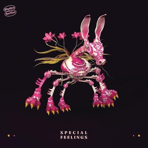 Special Feelings- Special Feelings (Vinyl)-Track Cache