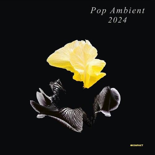 Various Artists- Pop Ambient 2024 (CD)-Track Cache