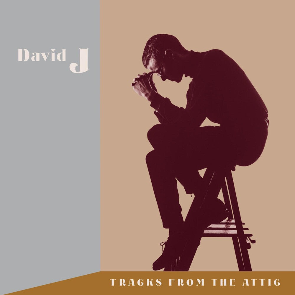 David J- Tracks From The Attic (W/Cd) (Brwn) [Clear Vinyl]-Track Cache