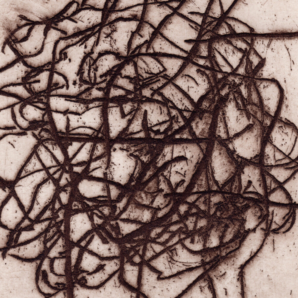 K Leimer . / Barreca,Marc- Arrhythmian (Vinyl)-Track Cache
