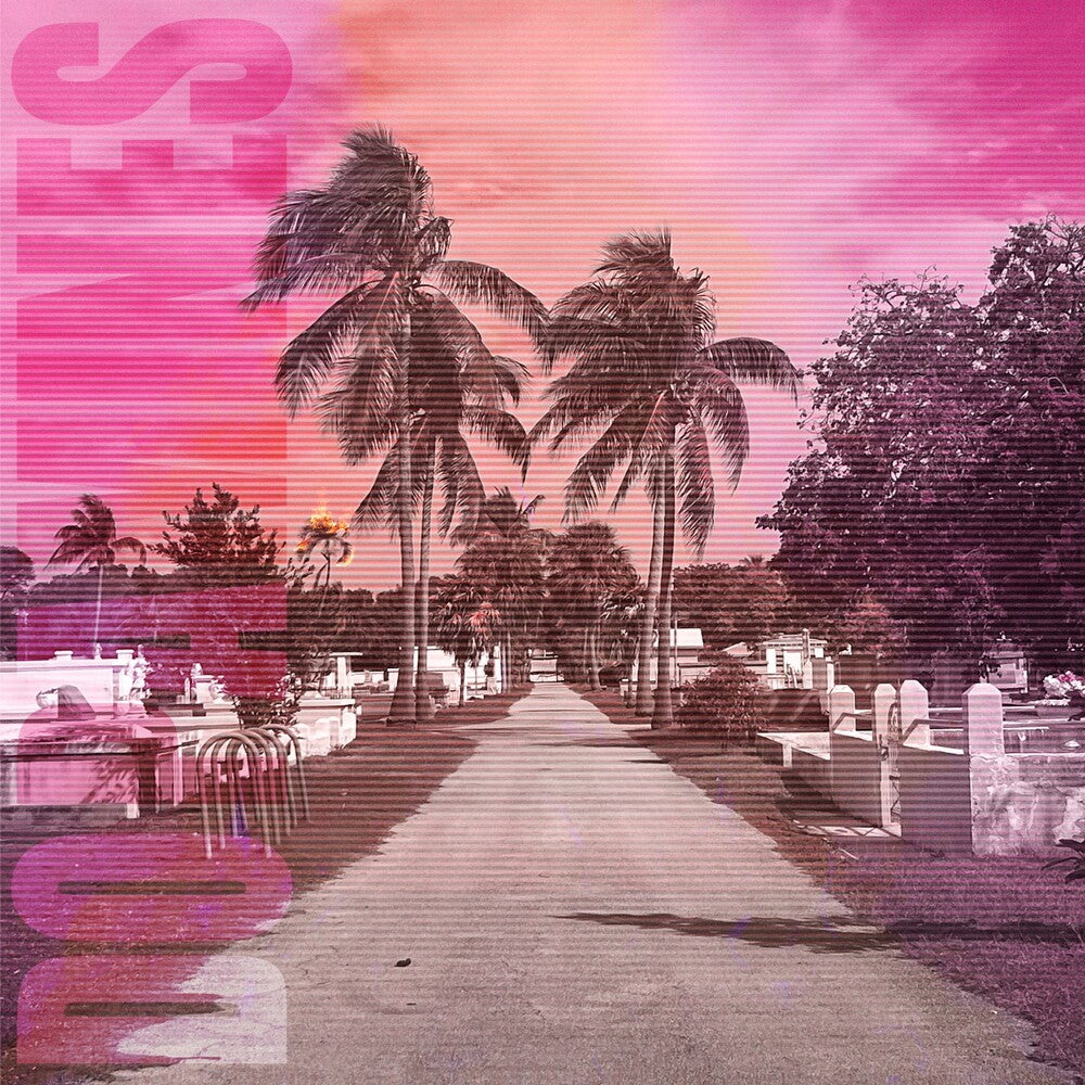 Dopamines- 80/20 (Vinyl)-Track Cache
