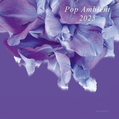 Various Artists- Pop Ambient 2025 (CD)-Track Cache