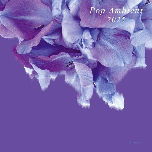 Various Artists- Pop Ambient 2025 (Vinyl)-Track Cache
