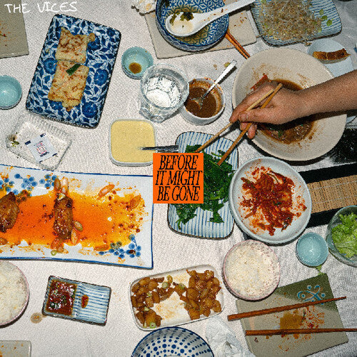Vices- Before It Might Be Gone (Vinyl)-Track Cache