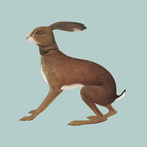 Vashti Bunyan- Lookaftering - Expanded (CD)-Track Cache