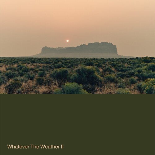 Whatever the Weather- Whatever the Weather II - Green (Vinyl)-Track Cache