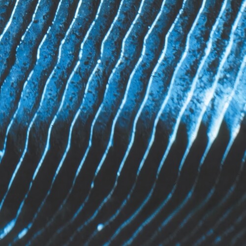 Monolake- Gravity (Vinyl)-Track Cache