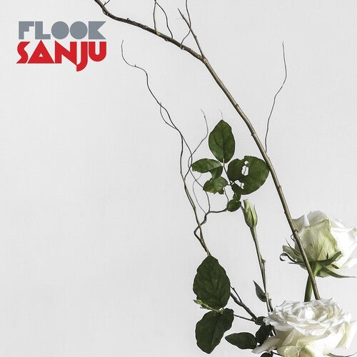 Flook- Sanju (Vinyl)-Track Cache