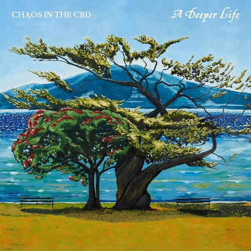 Chaos in the Cbd- A Deeper Life (Vinyl)-Track Cache