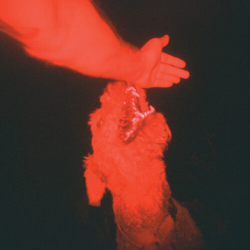 Eli Winter- A Trick of the Light (Vinyl)-Track Cache
