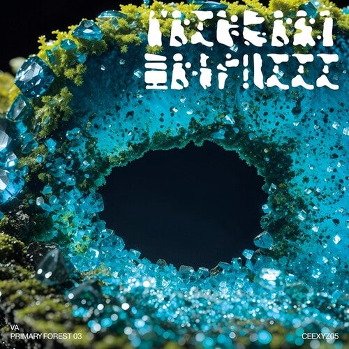 Various Artists- Primary Forest 03 (Vinyl)-Track Cache