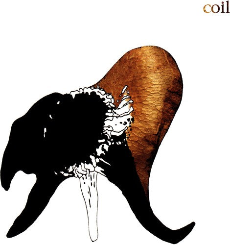 Coil- Black Antlers (Black Vinyl)-Track Cache