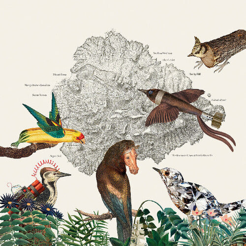 Friendly Rich- The Birds of Marsville (Vinyl)-Track Cache