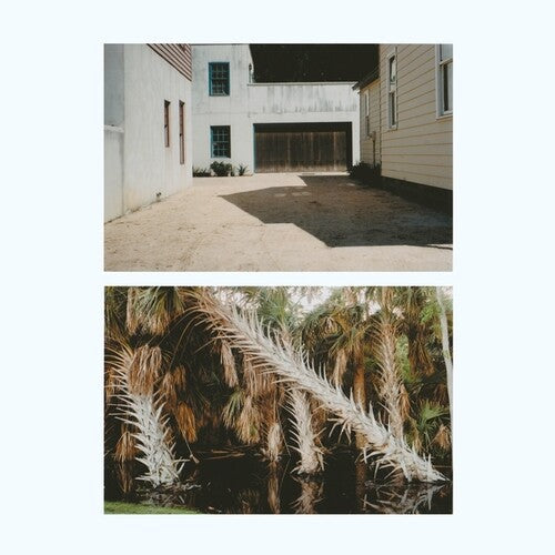 The Vestige (Vinyl)-Track Cache