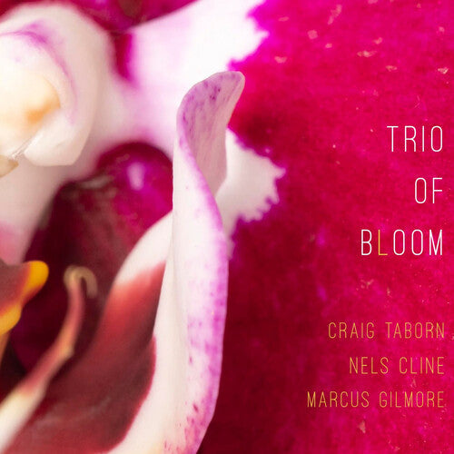 Trio of Bloom- Trio Of Bloom (CD)-Track Cache