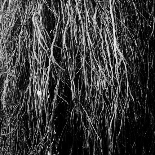 Eraldo Bernocchi- Nocturnal Rainforest (Vinyl)-Track Cache