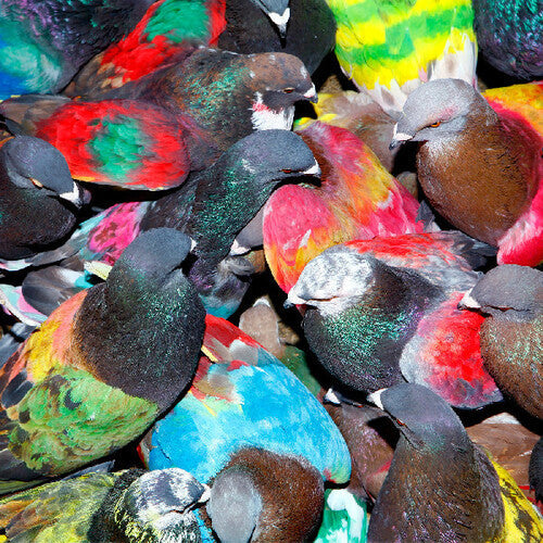 Blawan- Sickelixir (CD)-Track Cache