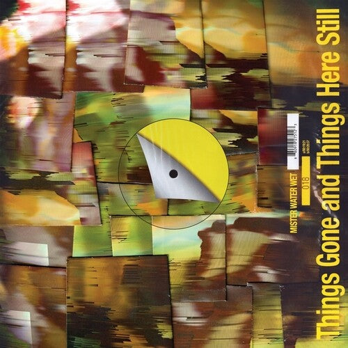 Mister Water Wet- Things Gone and Things Here Still (Vinyl)-Track Cache