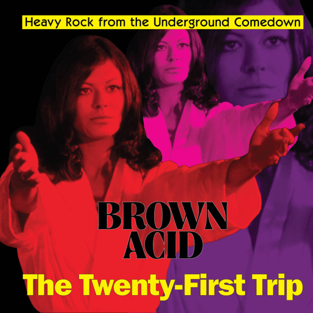 Brown Acid - The Twenty-First Trip / Various- Brown Acid - The Twenty-First Trip / Various (Vinyl)-Track Cache
