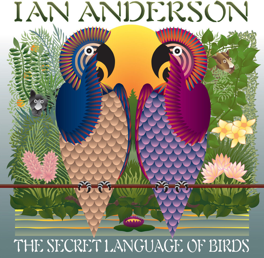 Ian Anderson- Secret Language Of Birds (Vinyl)-Track Cache