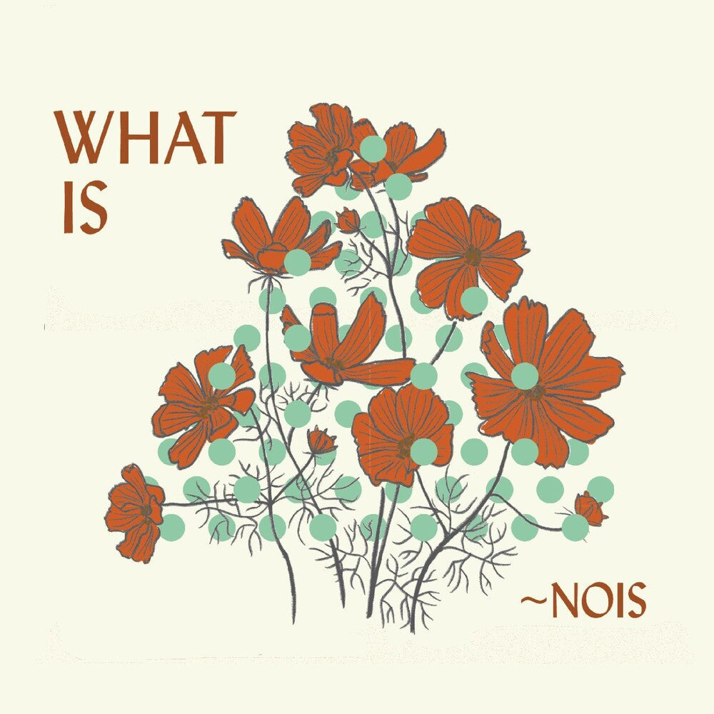 Nois- What Is Nois (CD)-Track Cache