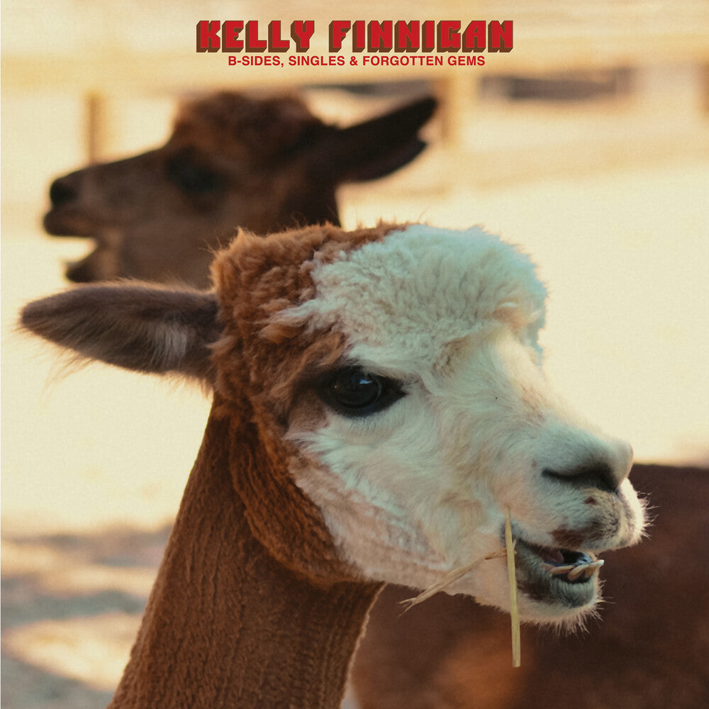 Kelly Finnigan- B-Sides Singles & Forgotten Gems (Cassette)-Track Cache