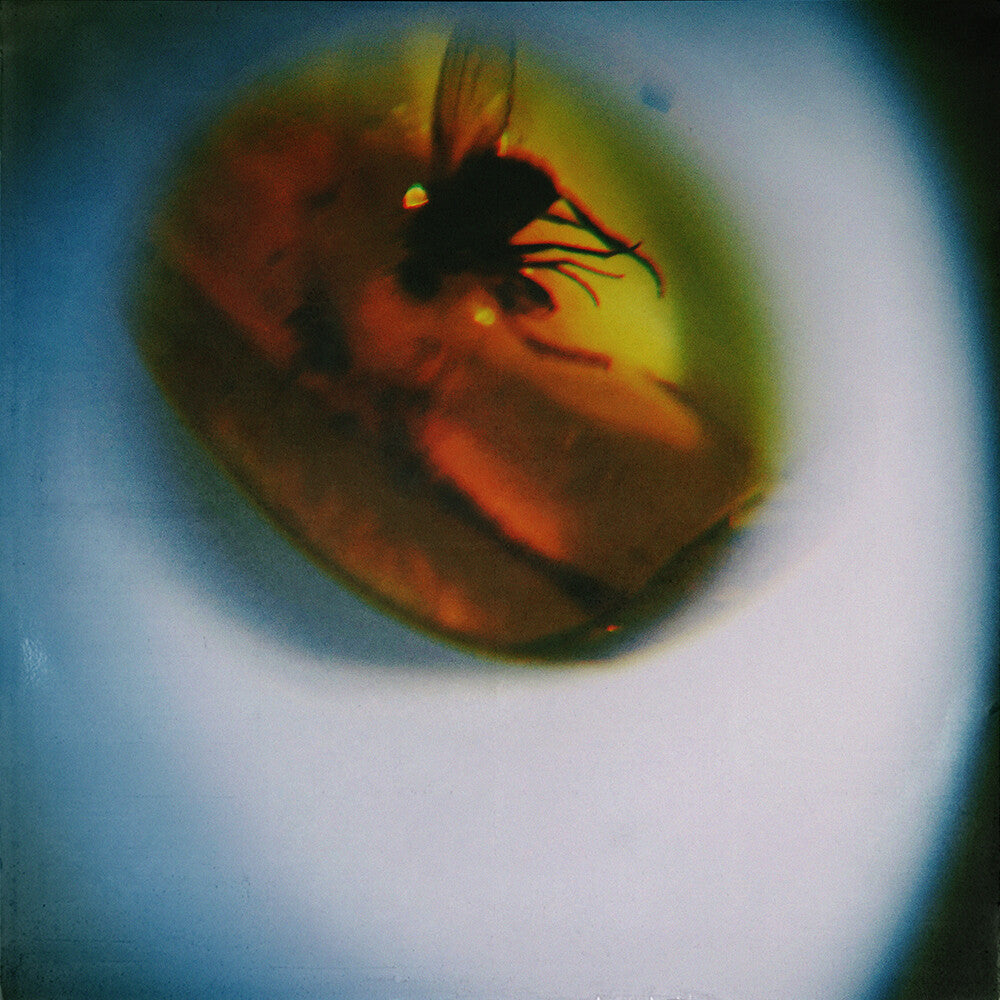 April + VISTA- Traditional Noise [Translucent Fly Green] (Vinyl)-Track Cache