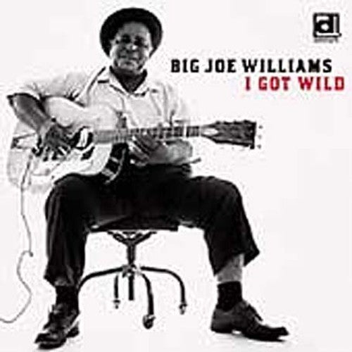 Big Joe Williams- I Got Wild (CD)-Track Cache