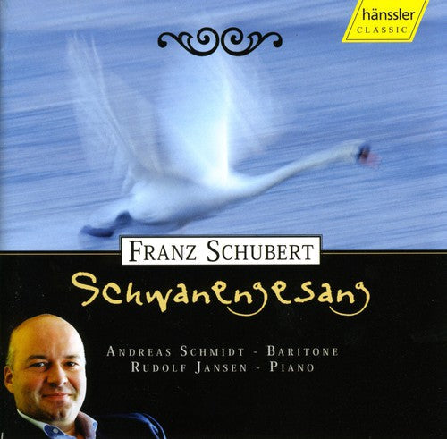 We Were Strangers- Schwanengesang (CD)-Track Cache
