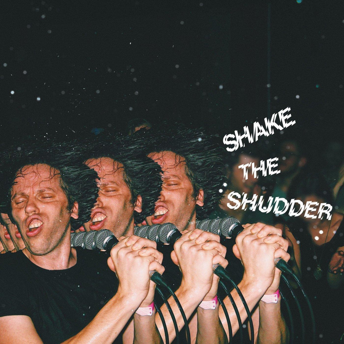 !!! (Chk Chk Chk)- Shake The Shudder (CD)-Track Cache