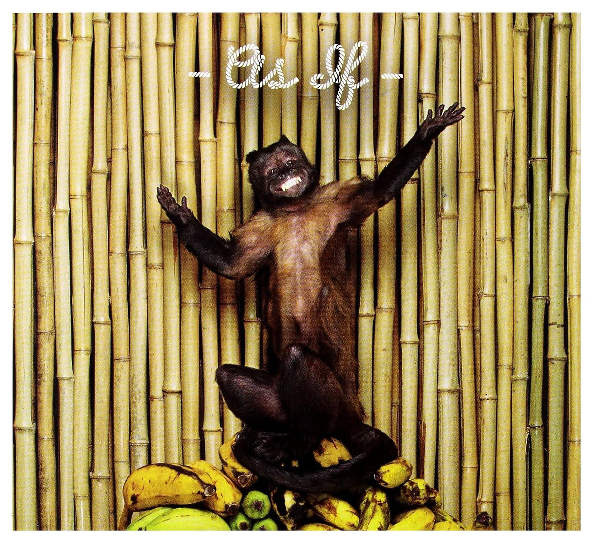 !!!- As If (CD)-Track Cache